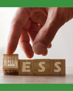 articles-The Emotional Cost of Financial Stress